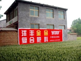 钦州如何让墙体广告展现最大化效果