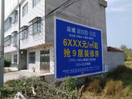 钦州墙体广告质量分析