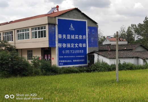钦州决定墙体广告价格的因素有哪些?