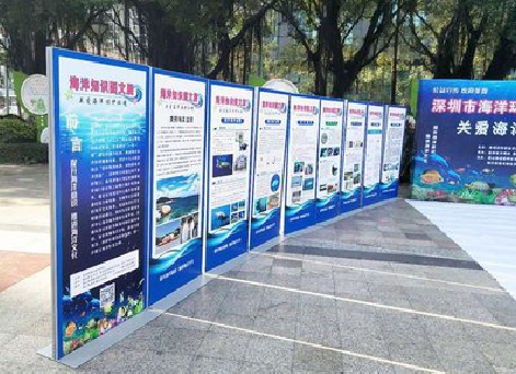 钦州KT板的种类和知识。